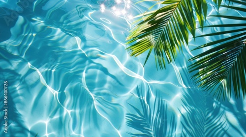 Top view of tropical leaf shadow on water surface. Transparent Overlay of a Palm Leaf Silhouette