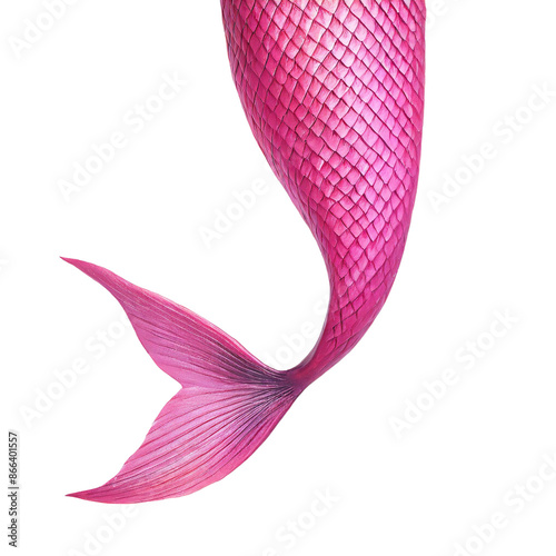 Pink mermaid tail isolated on a transparent background. Fantasy, mythical creature, and fairytale concept