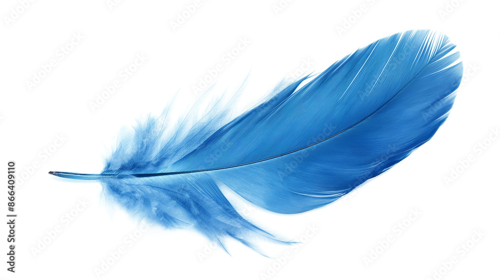 Obraz premium Blue feather design element isolated on a transparent background