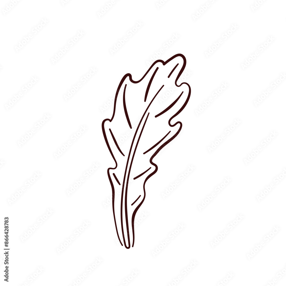 Fresh arugula leaf icon in line art style. Vector illustration isolated on a white background. Fresh arugula leaf icon in line art style. Vector illustration isolated on a white background.
