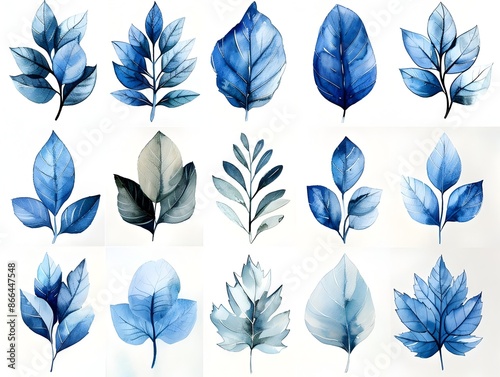 Cohesive Monochrome Watercolor Leaf Set on White Background with Copy Space © Thares2020