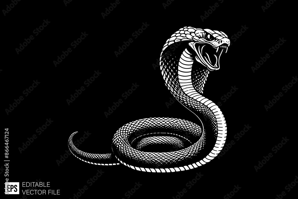 Fototapeta premium Illustration of snake vector design black and white