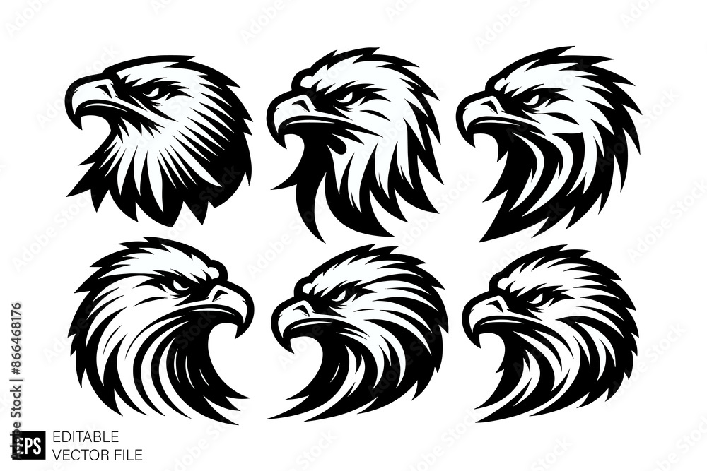 Fototapeta premium Elegant eagle head black and white vector design