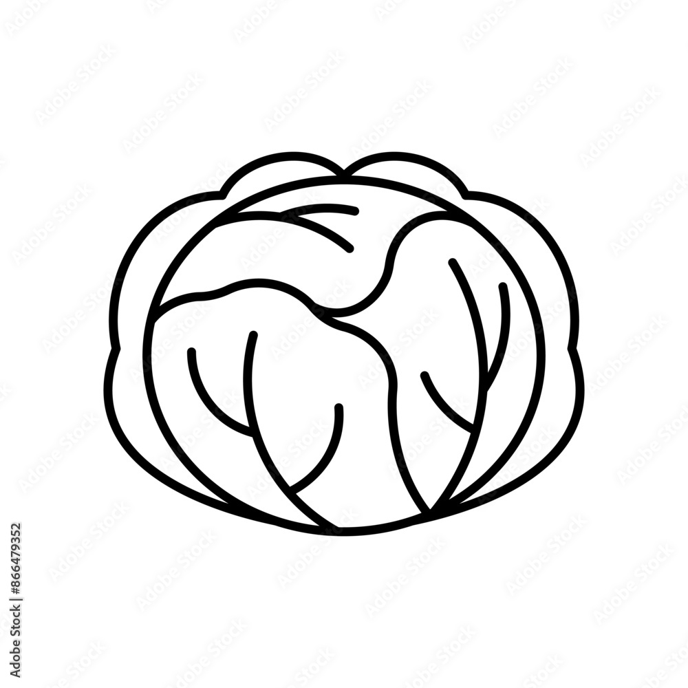 Cabbage flat line icon. Linear illustration of big green cabbage. Icon of a vegetable for a menu, a recipe, app, design. Vector sign, thin stroke, editable line. Cabbage flat line icon. Linear illustration of big green cabbage. Icon of a vegetable for a menu, a recipe, app, design. Vector sign, thin stroke, editable line.