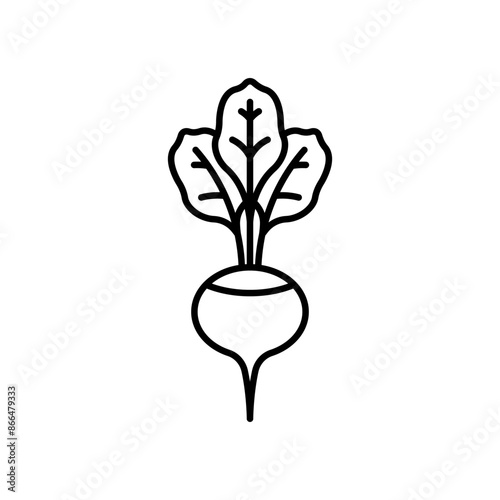 Radish flat line icon. Linear illustration of a root vegetable. Icon of a radish for a menu, a recipe, grocery app, design. Vector sign, thin stroke, editable line.
