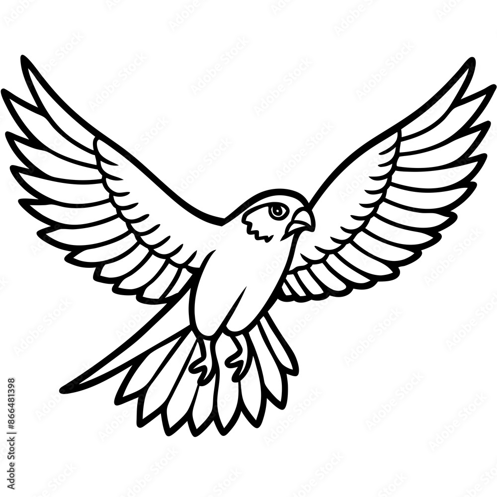 Obraz premium coloring page for adults, Bearded Hawk in flight, front view, line art