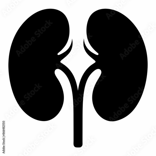 Kidneys silhouette vector illustration and svg