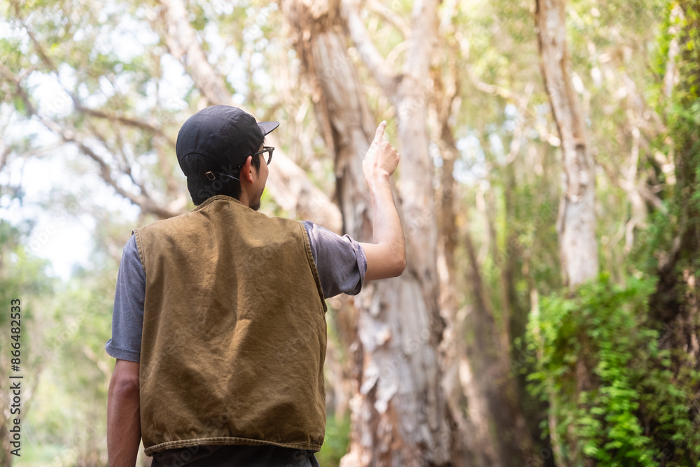 Happy asian man pointing finger in mangrove forests. He admires lush foliage, serene ambiance in tropical botanical garden. Traveler enjoys eco-tourism, nature walks. Happy asian man pointing finger in mangrove forests. He admires lush foliage, serene ambiance in tropical botanical garden. Traveler enjoys eco-tourism, nature walks.