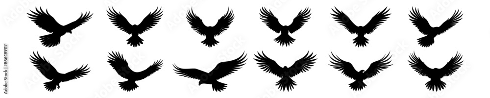 Eagle silhouettes set, pack of vector silhouette design, isolated background Eagle silhouettes set, pack of vector silhouette design, isolated background