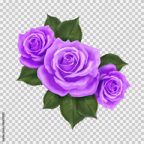 The bouquet of three purple roses. Vector decor on a transparent background for holiday cards and different design. 