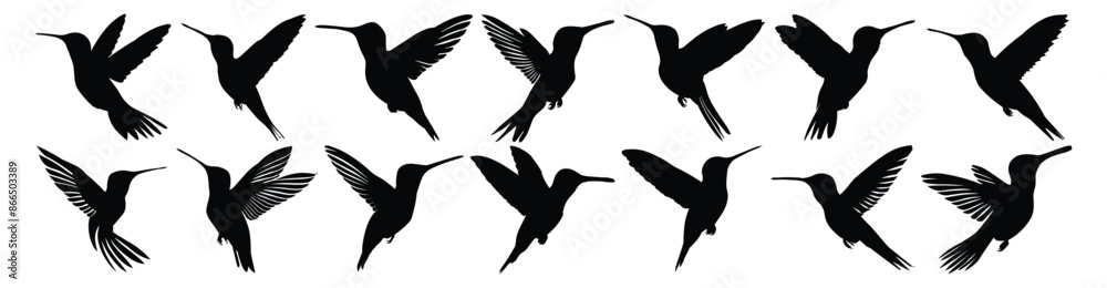 Hummingbird silhouette set vector design big pack of illustration and icon Hummingbird silhouette set vector design big pack of illustration and icon