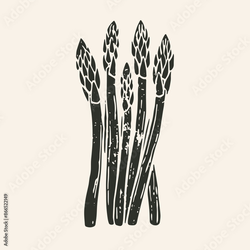 Hand-drawn vector asparagus clipart in scandi folk art style in block print style. Simple monochrome linocut illustration.