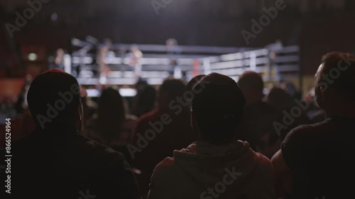 A crowd of people are watching a boxing match