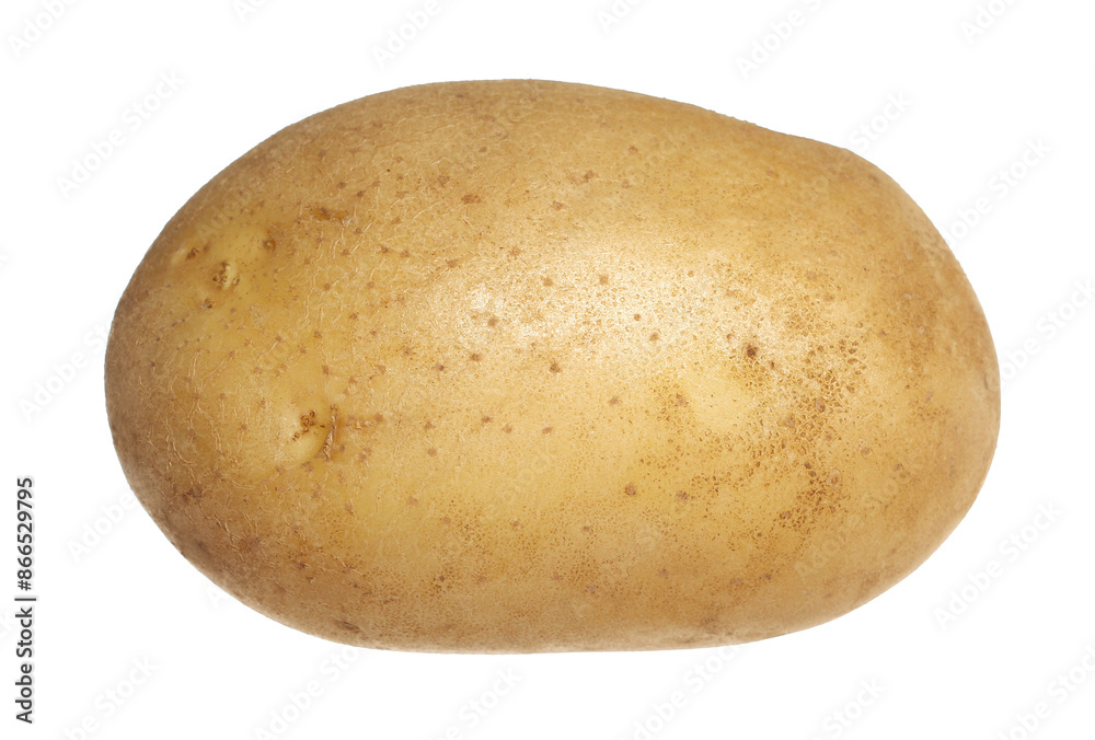 Fresh raw whole potato isolated on white, clipping path Fresh raw whole potato isolated on white, clipping path