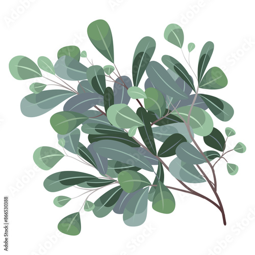Leaves and branches, Imitation of watercolor, isolated on white. Sketched wreath, floral and herbs garland. Handdrawn Vector Watercolour style, nature illustration.