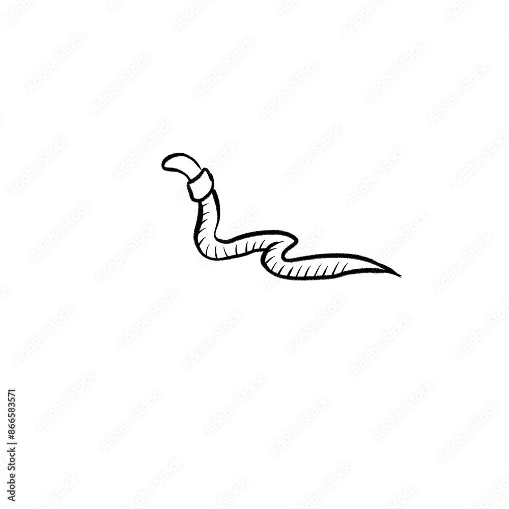 Obraz premium earthworm