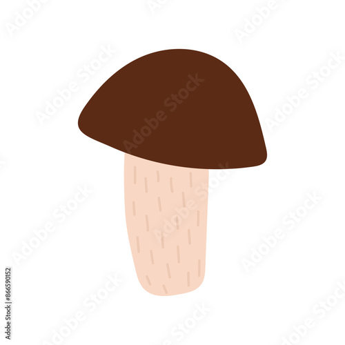 Porcini. Boletus mushroom on a transparent background. Hand drawn vector illustration of boletus mushrooms in cartoon style, icon