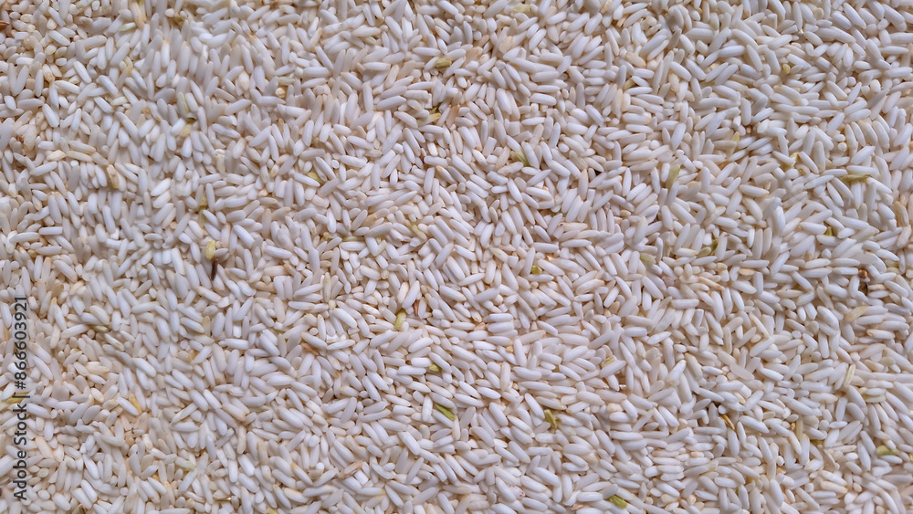 Top view of white rice grain surface Natural organic rice healthy food Agriculture of Asian Culture Top view of white rice grain surface Natural organic rice healthy food Agriculture of Asian Culture