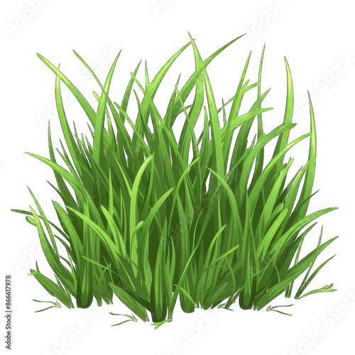 Lush green grass illustration, perfect for nature-themed projects. Vector image representing healthy, vibrant foliage. isolated on transparent background