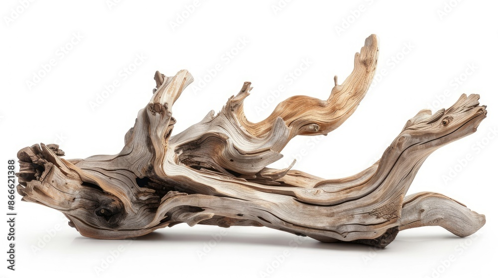 Intricately shaped driftwood art piece isolated on white, perfect for product showcases Intricately shaped driftwood art piece isolated on white, perfect for product showcases