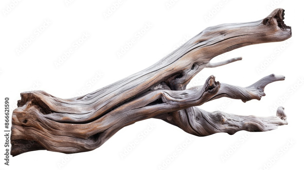 Isolated driftwood sculpture with smooth contours, perfect for decorative concepts Isolated driftwood sculpture with smooth contours, perfect for decorative concepts