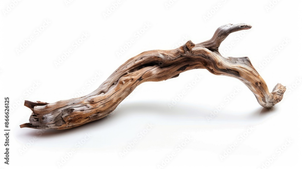 Twisted driftwood branch isolated on white, highlighting its organic textures Twisted driftwood branch isolated on white, highlighting its organic textures