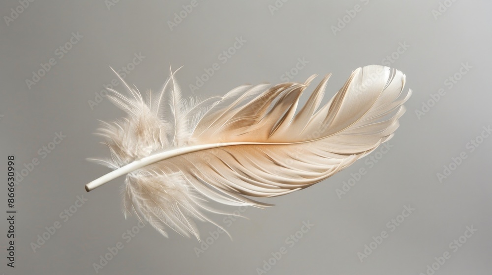 Obraz premium A single feather floating in the air, showcasing the gentle movement and delicate form.