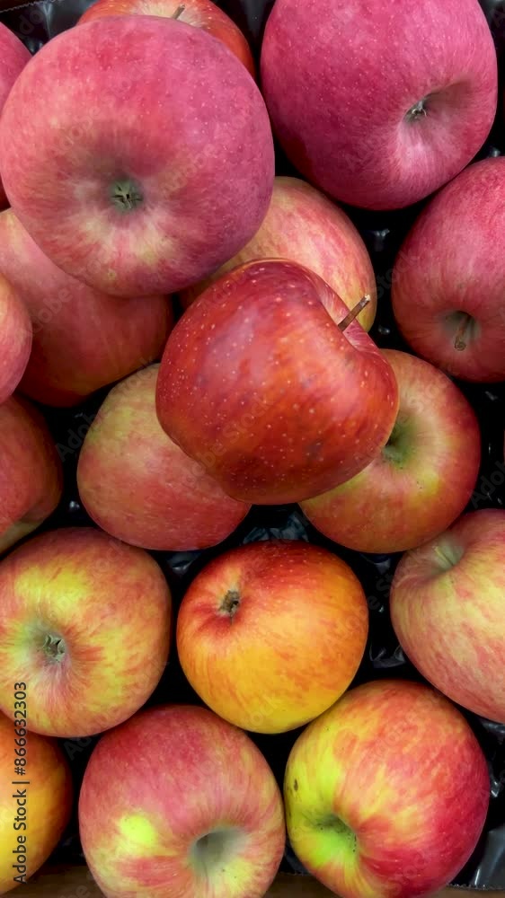 Red apples of the Fuji variety in top view in vertical tracking shot on greengrocer stall Red apples of the Fuji variety in top view in vertical tracking shot on greengrocer stall