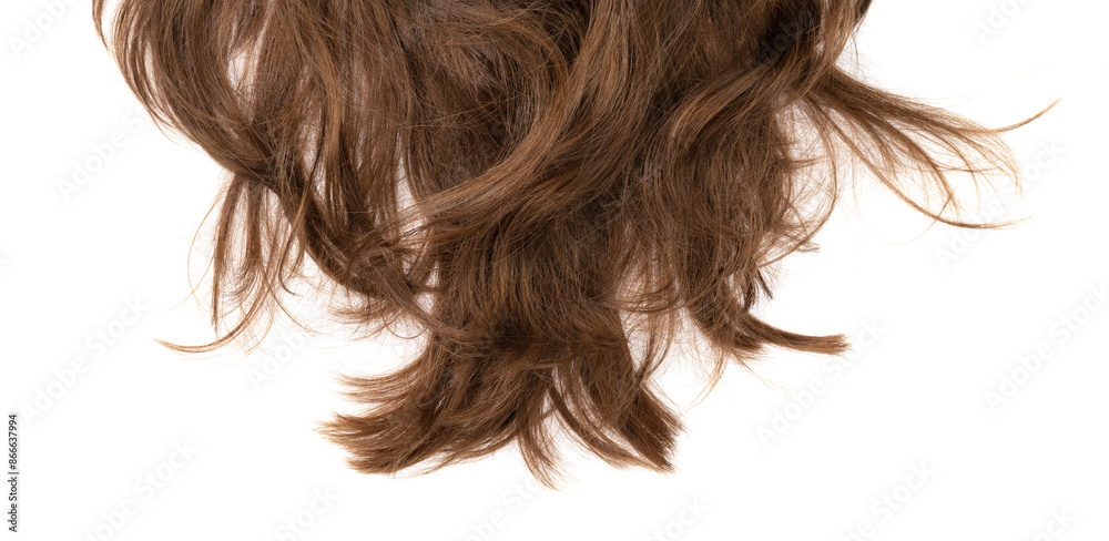 Long human brown hair isolated on background. hair texture close up Long human brown hair isolated on background. hair texture close up