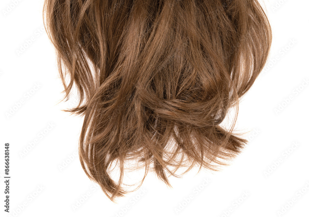 Long human brown hair isolated on background. hair texture close up Long human brown hair isolated on background. hair texture close up