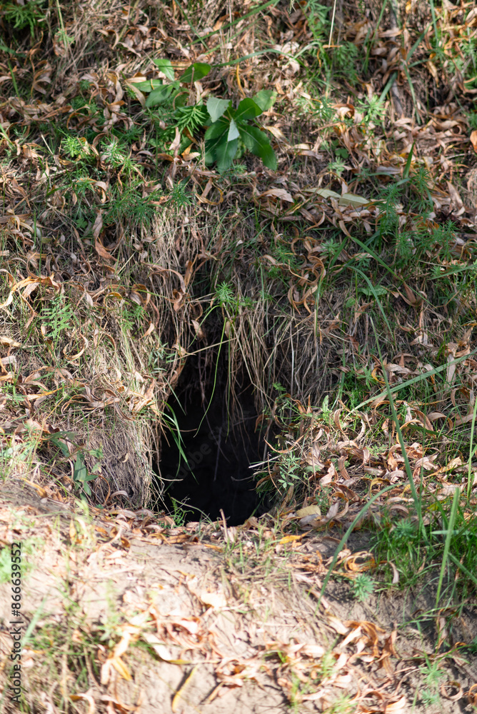 Obraz premium an empty fox hole. Selective focus