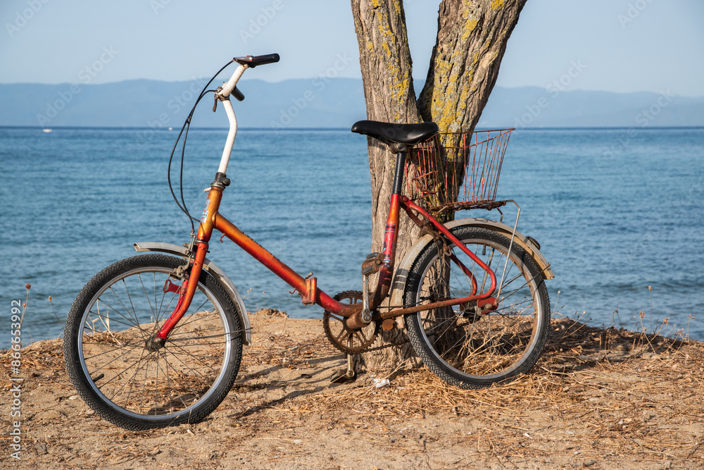 Old rusted bike sitting at tree near seaside Old rusted bike sitting at tree near seaside