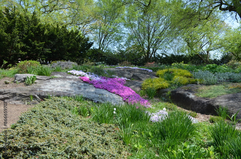 Nowy Jork, ogród, park przy Fort Tryon park, kwiecień
