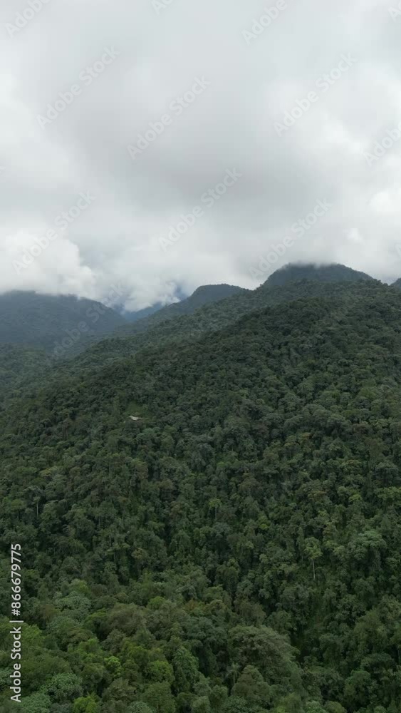 Aerial video over Salento towards a lush forested valley in the mountains of Colombia, Colombia Aerial video over Salento towards a lush forested valley in the mountains of Colombia, Colombia