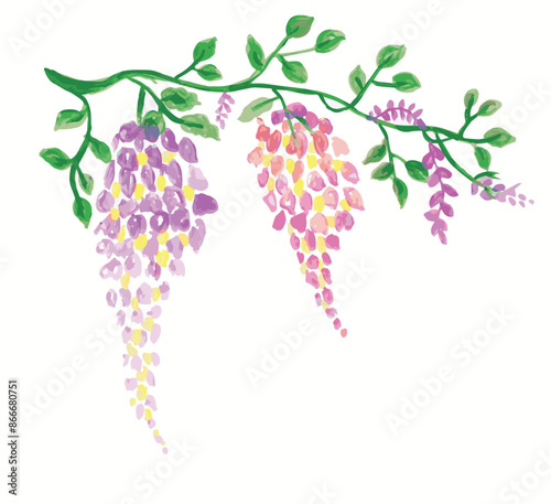 Vector clipart grapevine with purple bunch of grapes and purple flowers. Decorative floral frame of climbing edible plant on the white background.