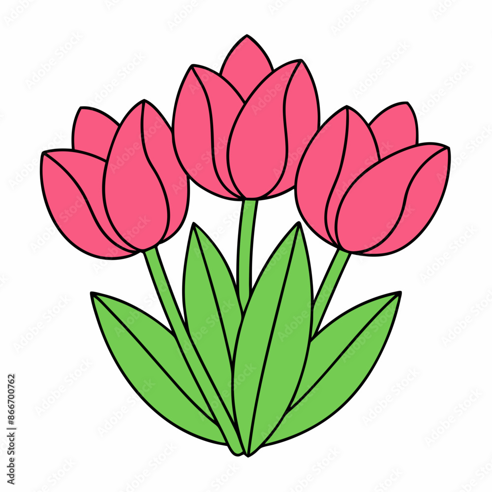 tulips flower Minimalist Art vector illustration tulips flower Minimalist Art vector illustration