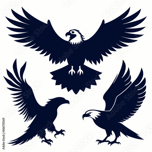 design-four-distinct-vector-bald-eagle-silhouettes 