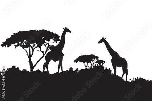 silhouette of a giraffe in the Jungle