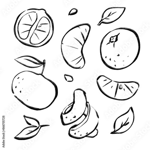 Mandarines hand drawn ink doodle set with white sticker borders. Isolated monochrome tangerine collection on transparent background. Printable illustration for decoration or web design.