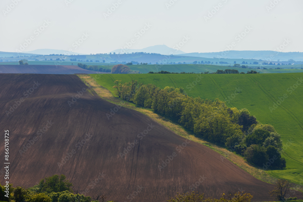 Obraz premium Beautiful green field that ripples and the sun shines on them. A landscape of waves called Moravian Tuscany in the Czech Republic.
