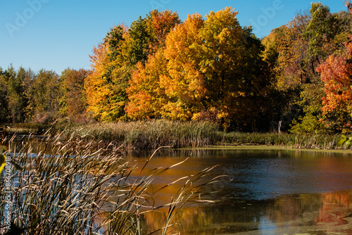 The changing colors of the shoreline maples, combined with the blue morning autumn sky, adds color to the marsh pond located in the Pike Lake Unit, Kettle Moraine State Forest, Hartford, Wisconsin. photo