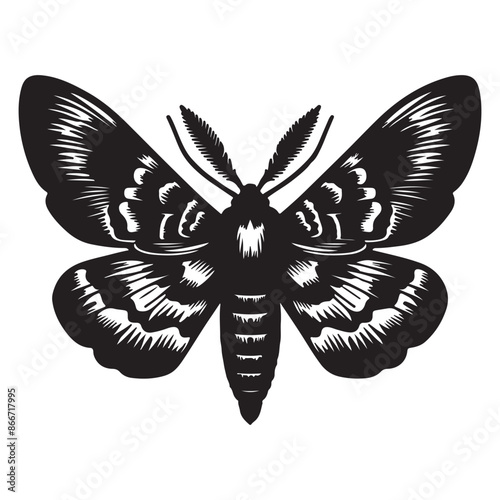 Vector Illustration of Moth Silhouette