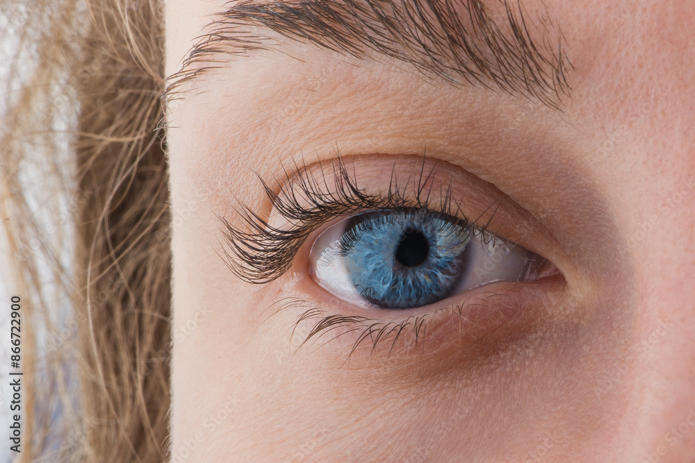 Fototapeta premium Macro photo of beautiful blue female eye looking straight into the camera. Close up young woman's eye.