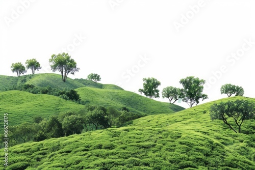 A peaceful scene with a herd of cattle grazing on a lush green hillside