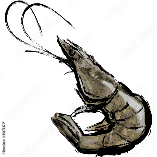 This is a shrimp drawn using ink painting technique