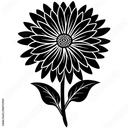 Aster vector illustration