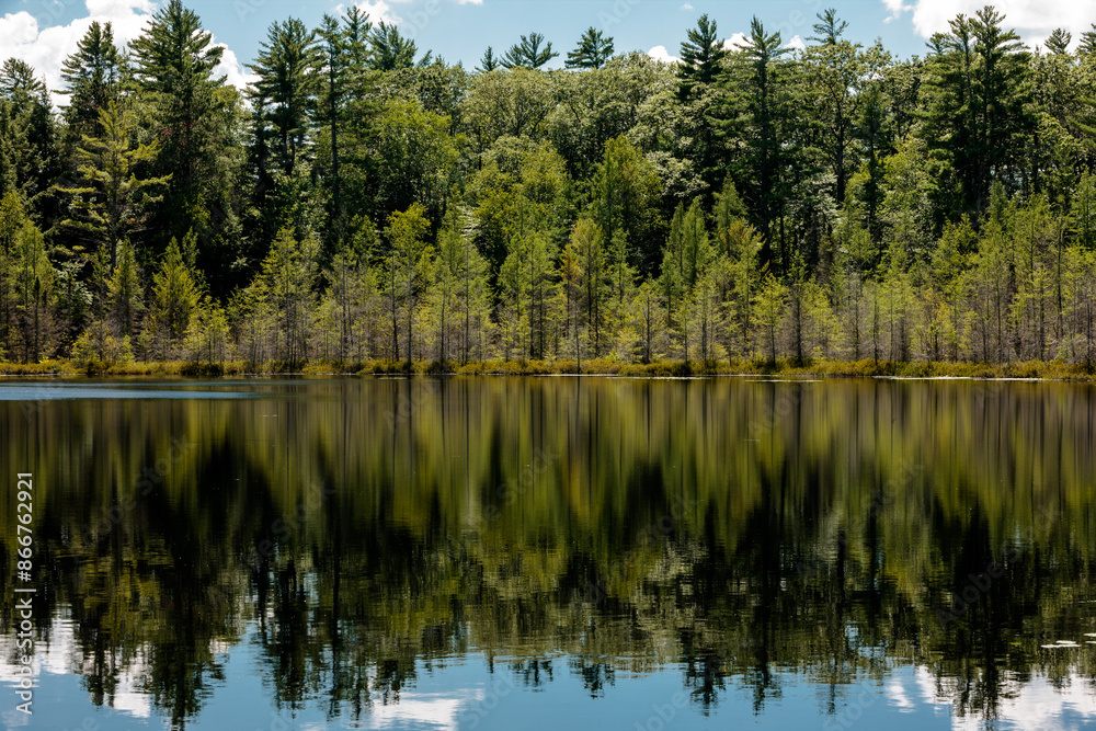 The shoreline tamarack trees are reflected off the calm waters of this small roadside lake near Boulder Junction, Wisconsin in mid-August The shoreline tamarack trees are reflected off the calm waters of this small roadside lake near Boulder Junction, Wisconsin in mid-August