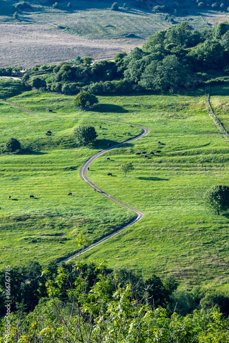 farm track winding through the countryside