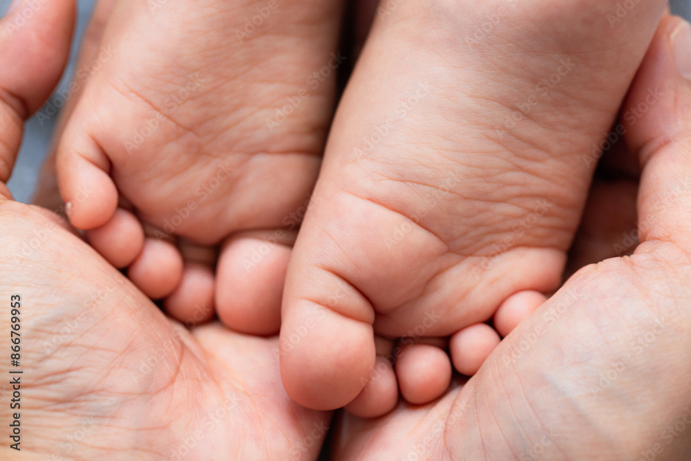 Baby feet,Baby feet in hands, mother, mother and her baby, happy family concept, beautiful conception image of childbirth. Baby feet,Baby feet in hands, mother, mother and her baby, happy family concept, beautiful conception image of childbirth.