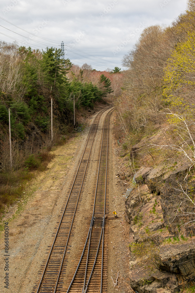 Fototapeta premium railway tracks in the forest shot in halifax nova scotia in spring 